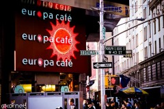 People flush the darnedest things